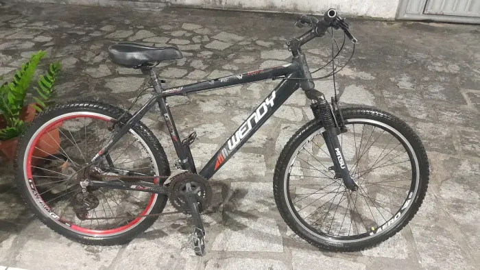 Bicicleta