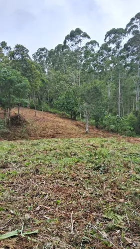 Terrenos para sítio a partir de 2 hectares em Águas Mornas-SC