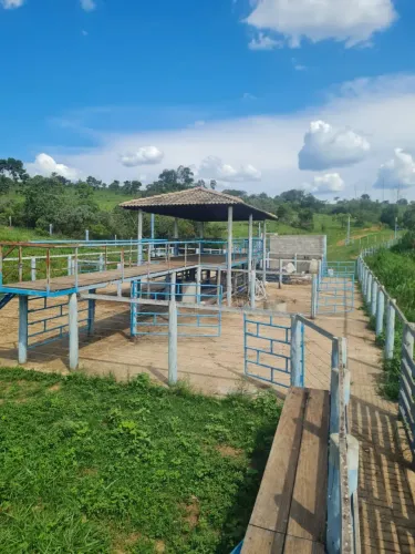 Sítio de 7 alqueires para cria, recria e gado leiteiro, Alexânia, GO