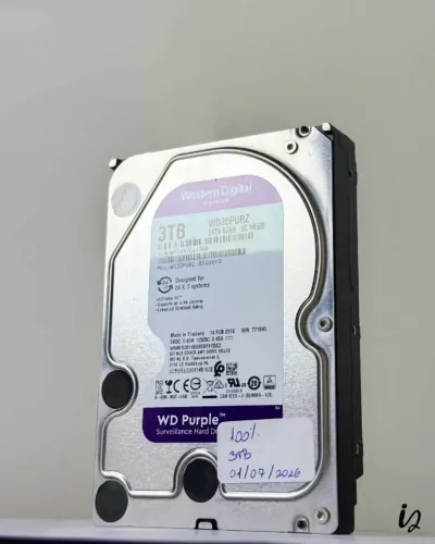 HD 3TB 3,5" WD Purple 100%