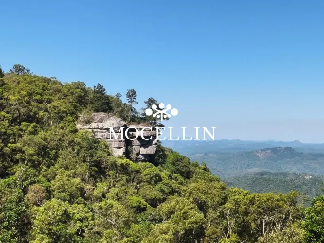 Terrenos de alto padrão à venda em São Luiz do Purunã/ Mocellin Imóveis