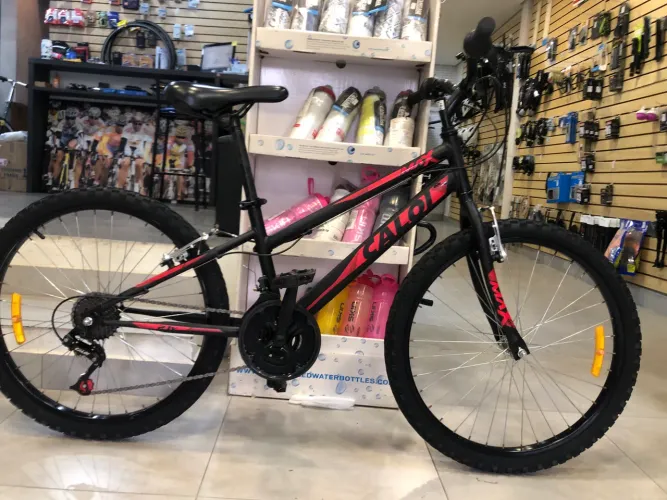 Bicicleta Infantil Caloi Max Aro 24