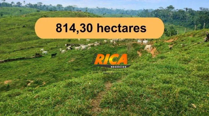 Excelente fazenda à venda, com 814,30 hectares no município Sena Madureira/AC