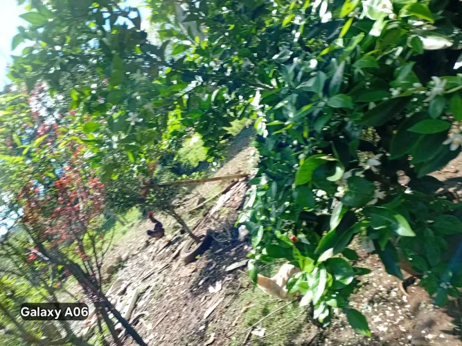 Vendo sitio