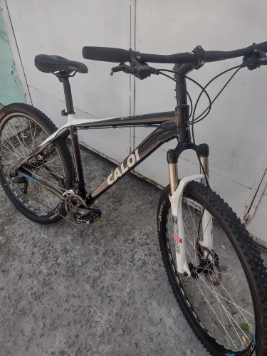 CALOI elite10. Aro 29