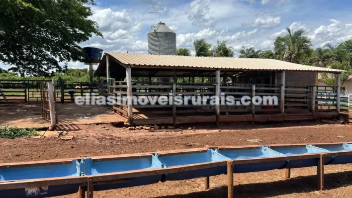Sítio 2,5 alqueires - 49 km de Uberlândia - Aceita permuta