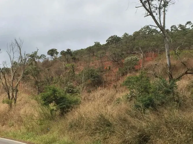Chácara localizada no município de Barra Longa