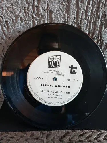 Disco de vinil pequeno / Stevie Wonder.