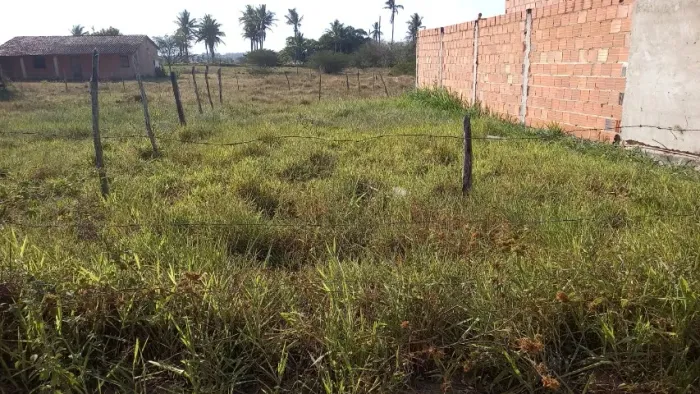 Lote de terra em Salgado - SE