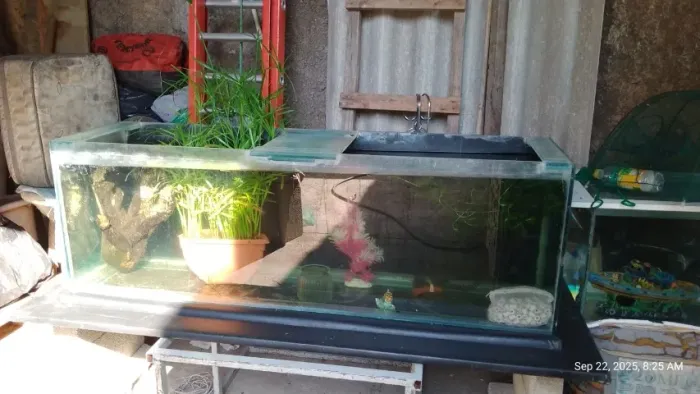 Aquário 300 litros, sem mesa suporte.
