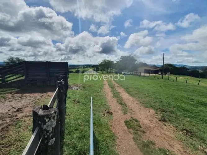 FAZENDA CRIA DE GADO - 145 ALQUEIRES - RUBIATABA/GO