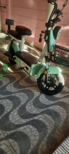 A Bicicleta Elétrica <br><br>1000W Verde