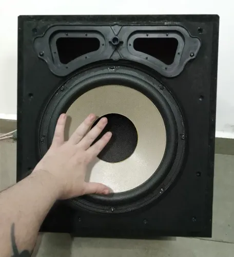 Caixa Subwoofer Sony 10 Polegadas Passivo 200w RMS envio todo BR