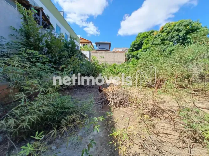 Venda Lote-Área-Terreno Canaã Belo Horizonte