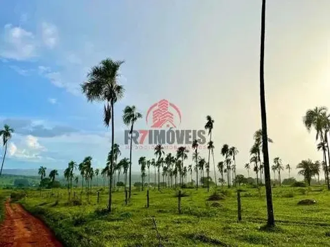 FAZENDA NA CIDADE DE PROFESSOR JAMIL  GOIÁS