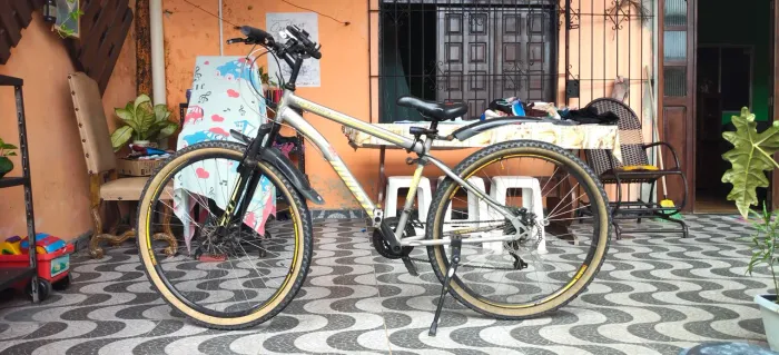 Bicicleta Aro 29 Netuno-S (Usada)