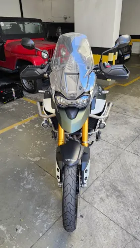 Tiger 900 Rally Pro