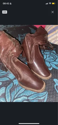 Bota