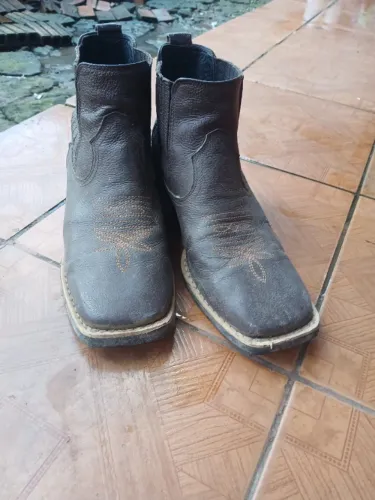 Bota