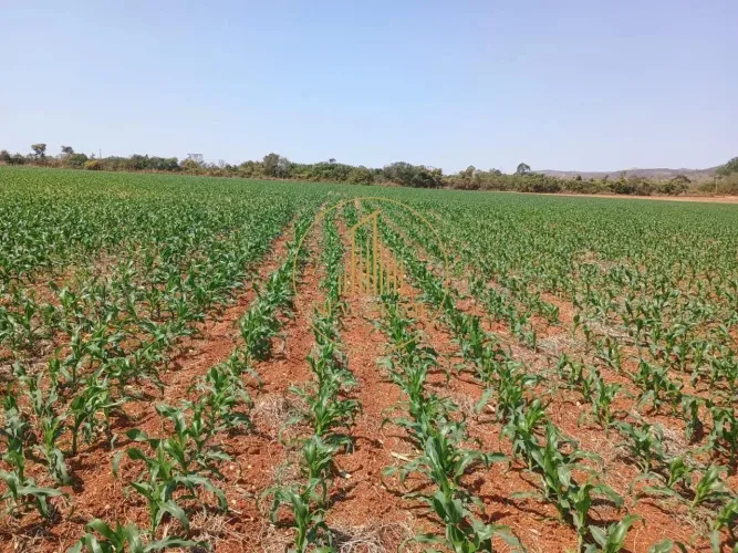 Fazenda à venda, 1 quarto, 1 suíte, 1 vaga, Centro - Paraopeba/MG
