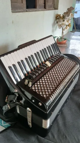 Sanfona acordeon 120 baixos