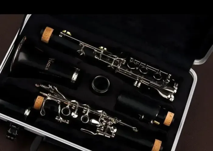 Clarinete Eagle Sib Completo + Maleta + Suporte + Palheta Nova