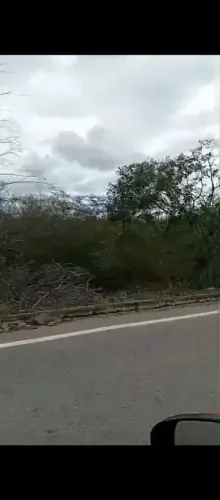 Vendemos uma Fazenda em Ibimirim com 1.100 hect-Toda pronta e documentada -preço p/Hect.R$