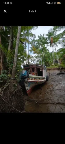Barco pra safra de açaí 