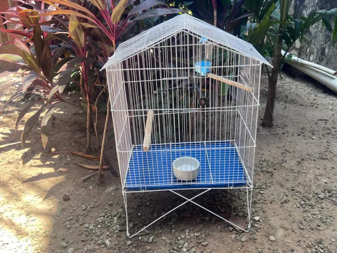 VENDO GAIOLA PARA AVES
