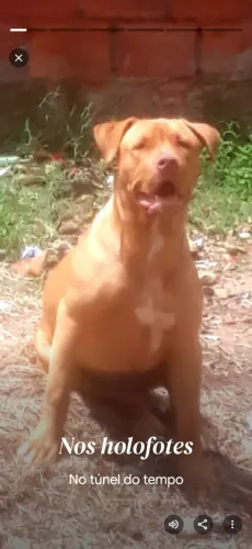 Doação 