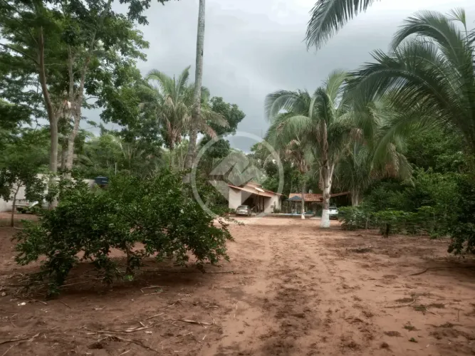 Chacara em Acorizal de 25 x 200 m Escriturado Acorizal MT R$ 300.000,00 codigo: 52314