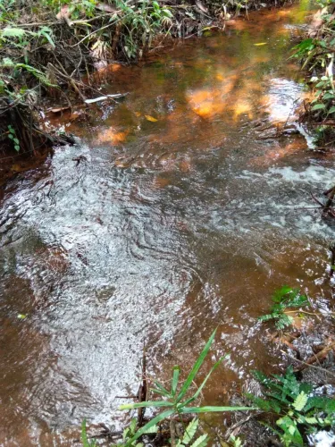 Vende terreno com igarapé