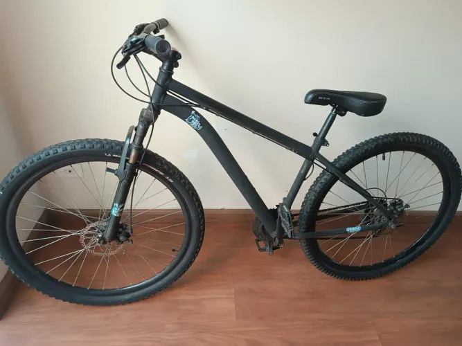 Bicicleta 29