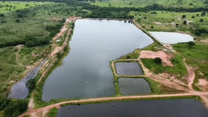 Fazenda próxima do Distrito da Guia com pasto e piscicultura
