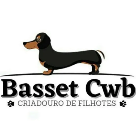 Filhotes disponíveis para Reserva Outubro ( Pedigree )