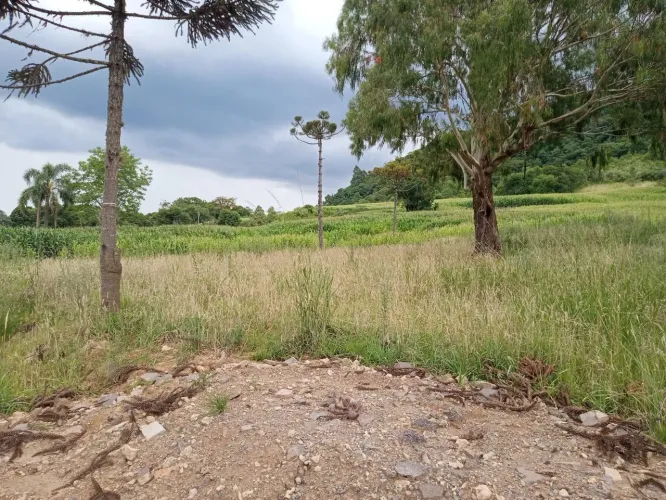 Área de 4 hectares para investimento