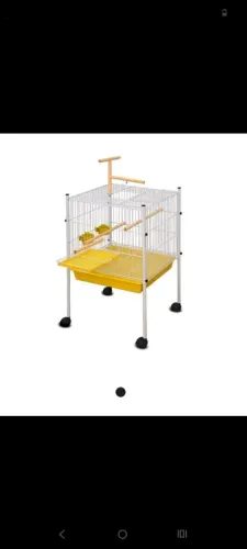 Viveiro Calopcita