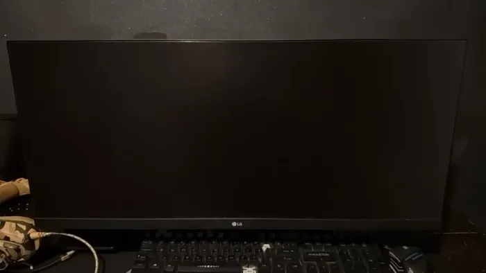Monitor ultrawide