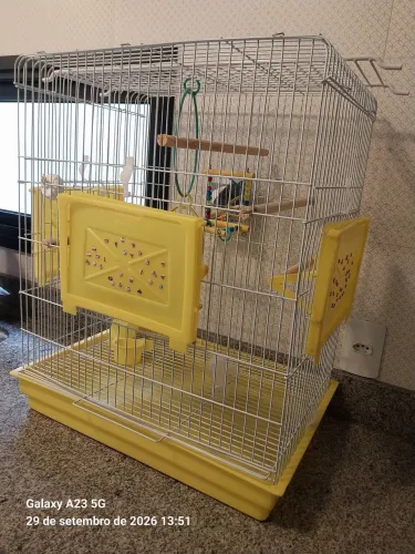 Gaiola em estado de nova