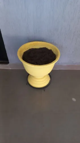 Vaso de cimento tipo taça de Planta amarelo capacidade 45 Litros