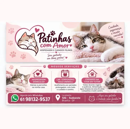Hospedagem para Gatos, Pet Sitter e Cuidados Felinos - Brasília DF