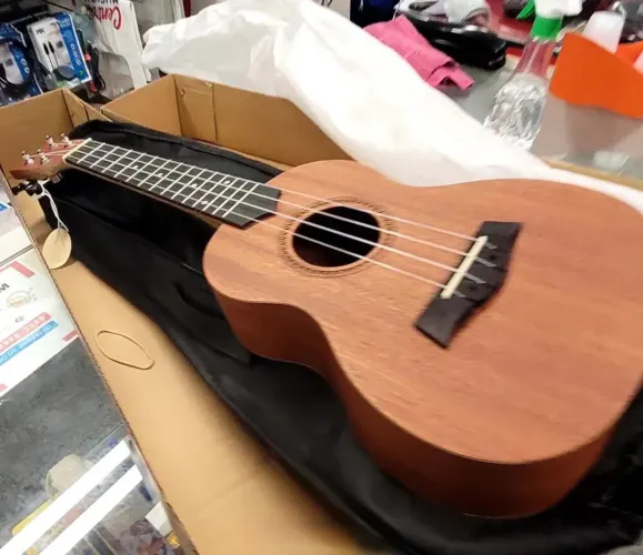 Ukulele Concert Strinberg