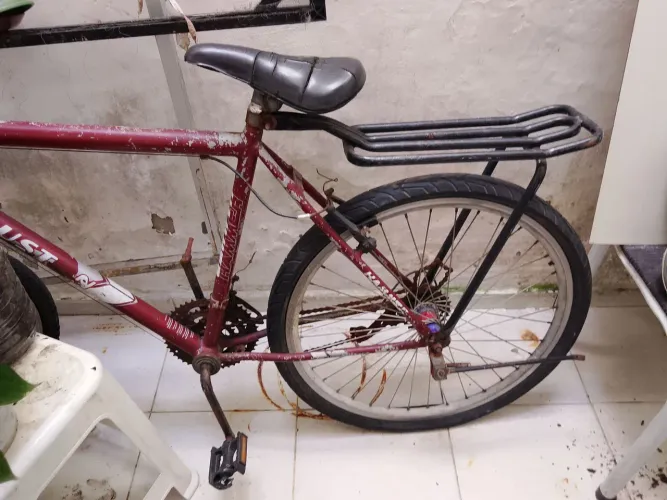 Bicicleta