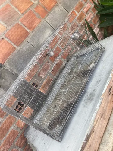 Gaiola de ferro