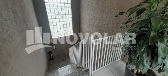 Condomínio Fechado com Apartamentos para Locação no Pari