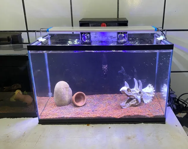 AQUARIO 30 LITROS COMPLETO