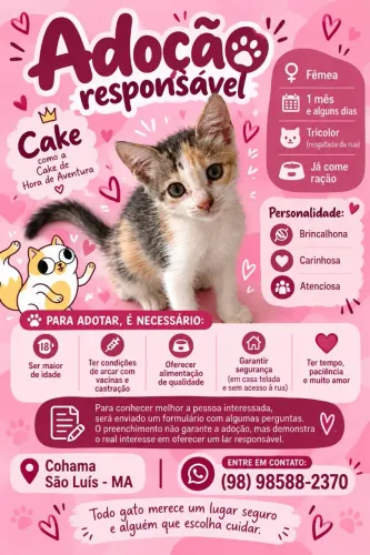 Cake (Fêmea): Adoção Responsável | Gatinha Filhote Tricolor | 1 Mês | São Luís 