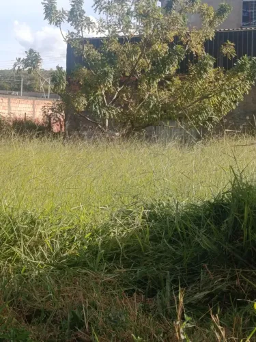 Vendo ou troco lote, aceito oferta. Oportunidade ótima para investir.