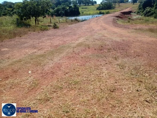 Fazenda à Venda em Arenópolis - GO | 76 Alqueires | Dupla Aptidão