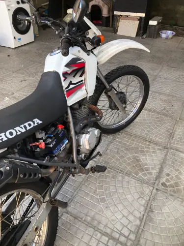 Xlr de barbada 